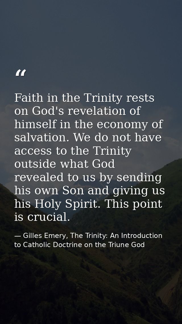 Faith in the Trinity rests on God's revelation of himself in the economy of salvation. We do not have access to the Trin — Gilles Emery, The Trinity: An Introduction to Catholic Doctrine on the Triune God