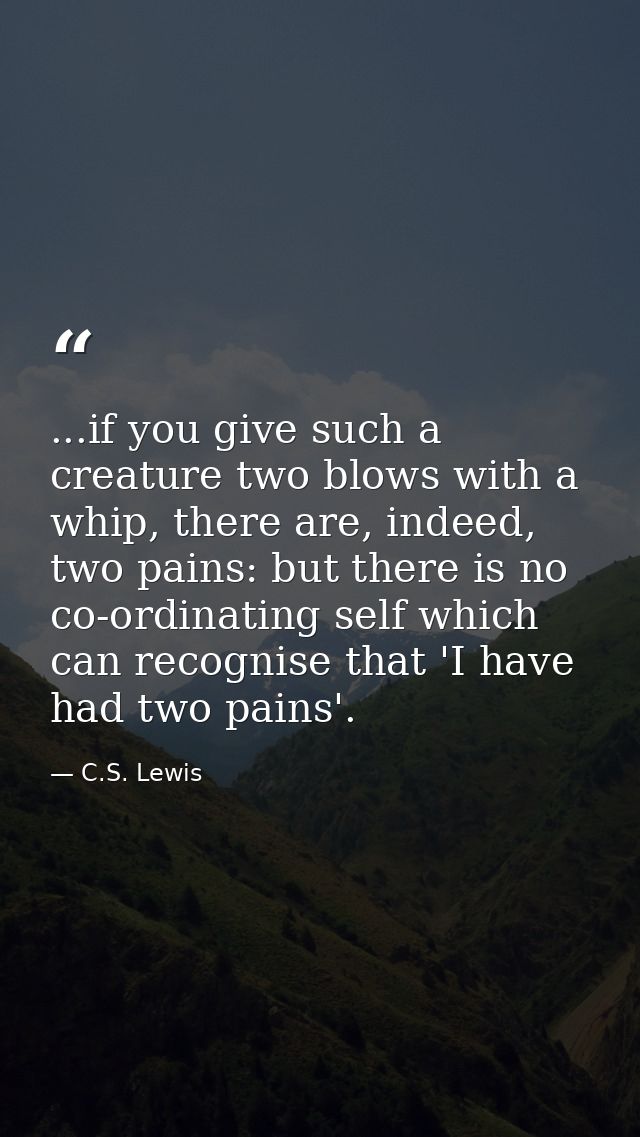 ...if you give such a creature two blows with a whip, there are, indeed, two pains: but there is no co-ordinating self w — C.S. Lewis