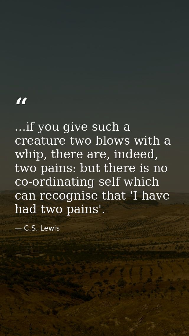 ...if you give such a creature two blows with a whip, there are, indeed, two pains: but there is no co-ordinating self w — C.S. Lewis