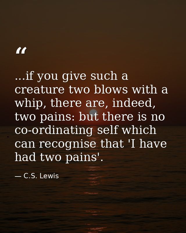 ...if you give such a creature two blows with a whip, there are, indeed, two pains: but there is no co-ordinating self w — C.S. Lewis