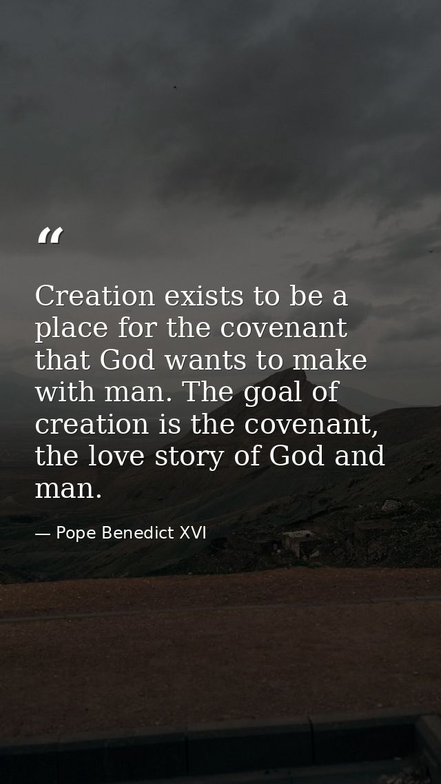Creation exists to be a place for the covenant that God wants to make with man. The goal of creation is the covenant, th — Pope Benedict XVI