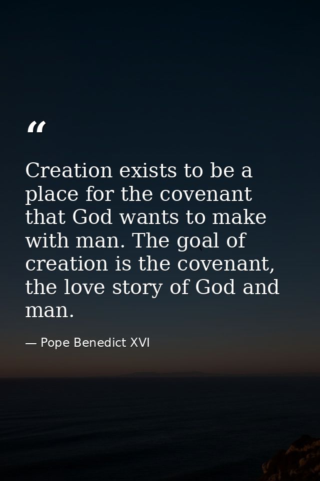 Creation exists to be a place for the covenant that God wants to make with man. The goal of creation is the covenant, th — Pope Benedict XVI