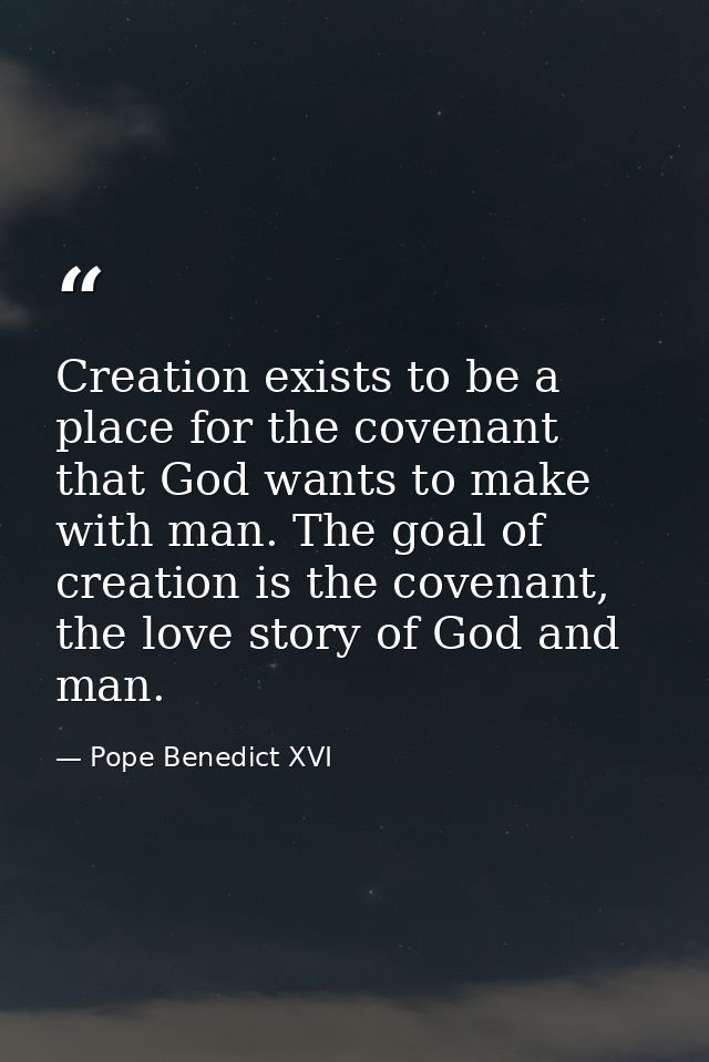 Creation exists to be a place for the covenant that God wants to make with man. The goal of creation is the covenant, th — Pope Benedict XVI
