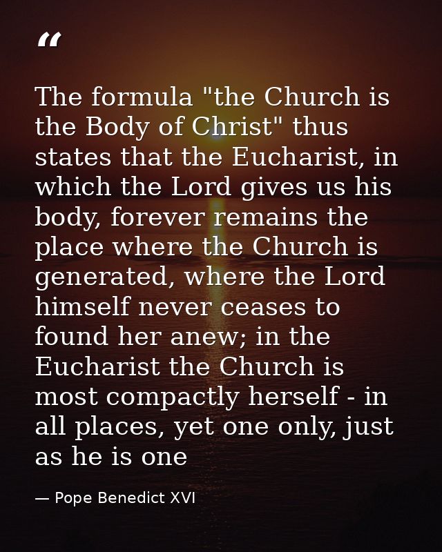 The formula "the Church is the Body of Christ" thus states that the Eucharist, in which the Lord gives us his body, fore — Pope Benedict XVI