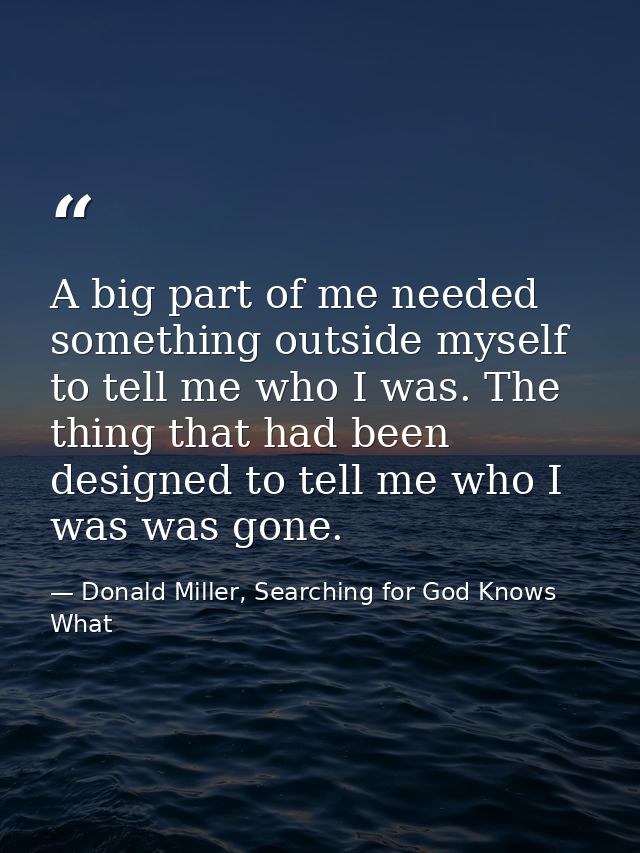 A big part of me needed something outside myself to tell me who I was. The thing that had been designed to tell me who I — Donald Miller, Searching for God Knows What