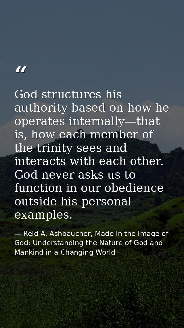 God structures his authority based on how he operates internally—that is, how each member of the trinity sees and intera — Reid A. Ashbaucher, Made in the Image of God: Understanding the Nature of God and Mankind in a Changing World