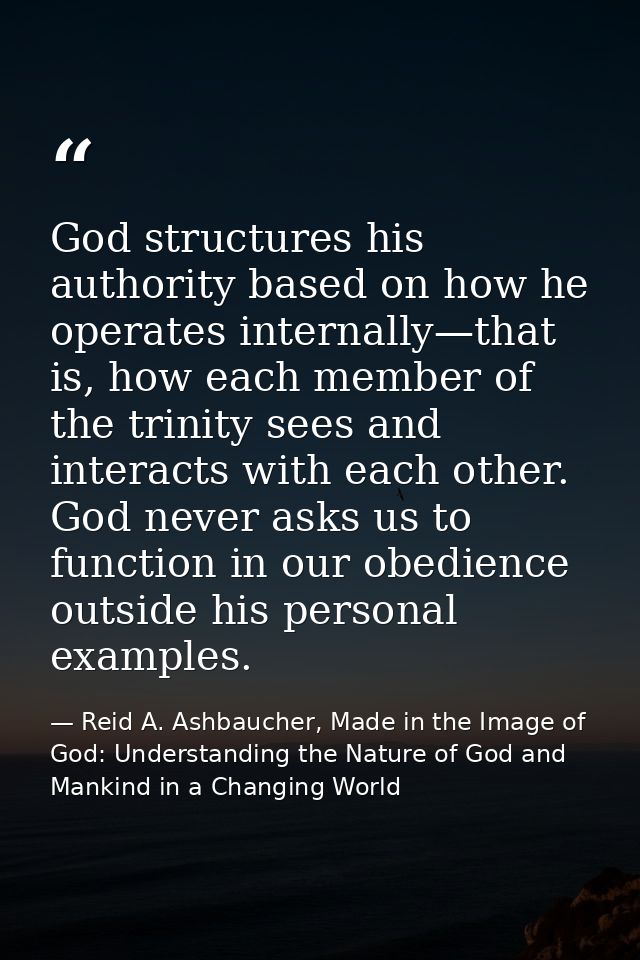 God structures his authority based on how he operates internally—that is, how each member of the trinity sees and intera — Reid A. Ashbaucher, Made in the Image of God: Understanding the Nature of God and Mankind in a Changing World