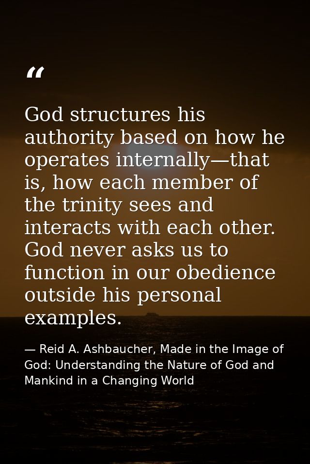 God structures his authority based on how he operates internally—that is, how each member of the trinity sees and intera — Reid A. Ashbaucher, Made in the Image of God: Understanding the Nature of God and Mankind in a Changing World