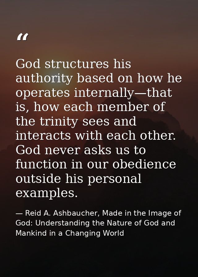 God structures his authority based on how he operates internally—that is, how each member of the trinity sees and intera — Reid A. Ashbaucher, Made in the Image of God: Understanding the Nature of God and Mankind in a Changing World