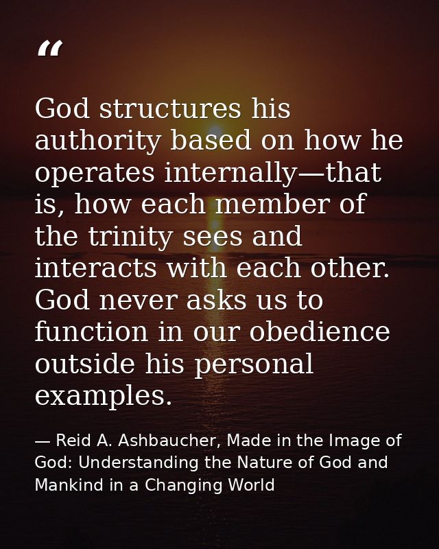 God structures his authority based on how he operates internally—that is, how each member of the trinity sees and intera — Reid A. Ashbaucher, Made in the Image of God: Understanding the Nature of God and Mankind in a Changing World
