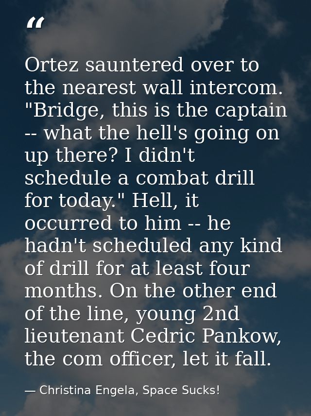 Ortez sauntered over to the nearest wall intercom. "Bridge, this is the captain -- what the hell's going on up there? I  — Christina Engela, Space Sucks!