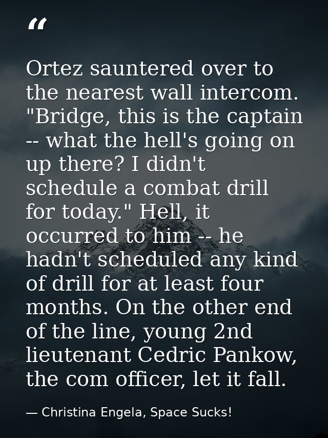 Ortez sauntered over to the nearest wall intercom. "Bridge, this is the captain -- what the hell's going on up there? I  — Christina Engela, Space Sucks!