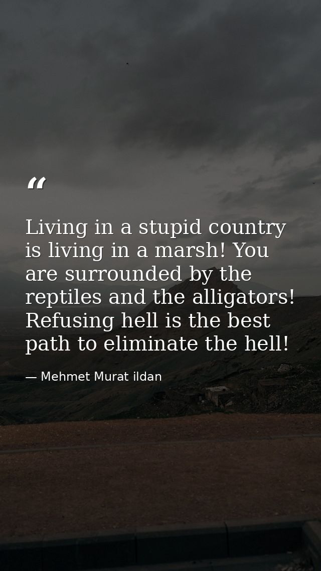 Living in a stupid country is living in a marsh! You are surrounded by the reptiles and the alligators! Refusing hell is — Mehmet Murat ildan