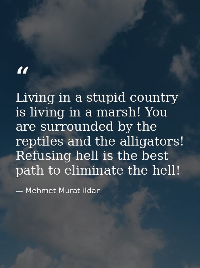 Living in a stupid country is living in a marsh! You are surrounded by the reptiles and the alligators! Refusing hell is — Mehmet Murat ildan