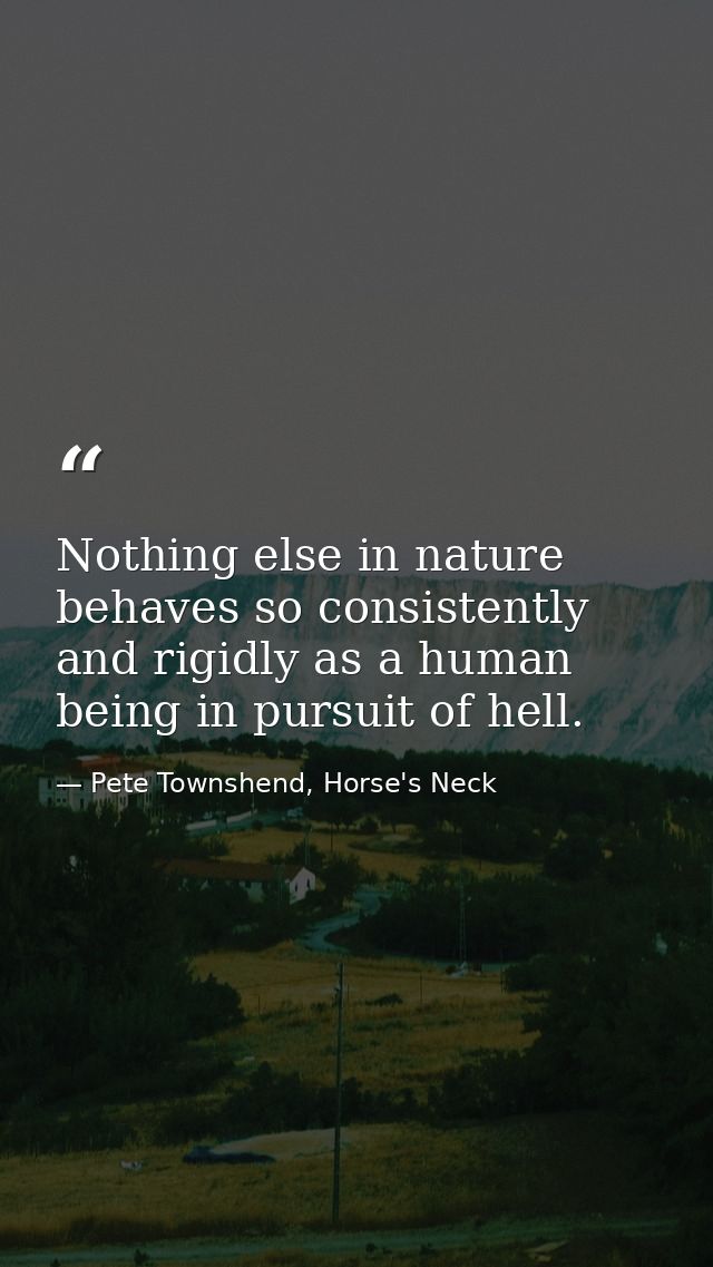 Nothing else in nature behaves so consistently and rigidly as a human being in pursuit of hell. — Pete Townshend, Horse's Neck