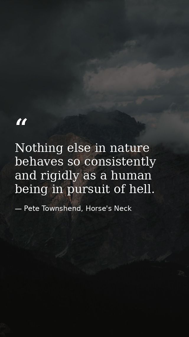 Nothing else in nature behaves so consistently and rigidly as a human being in pursuit of hell. — Pete Townshend, Horse's Neck