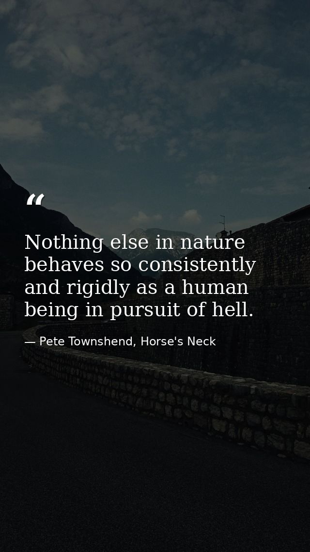 Nothing else in nature behaves so consistently and rigidly as a human being in pursuit of hell. — Pete Townshend, Horse's Neck