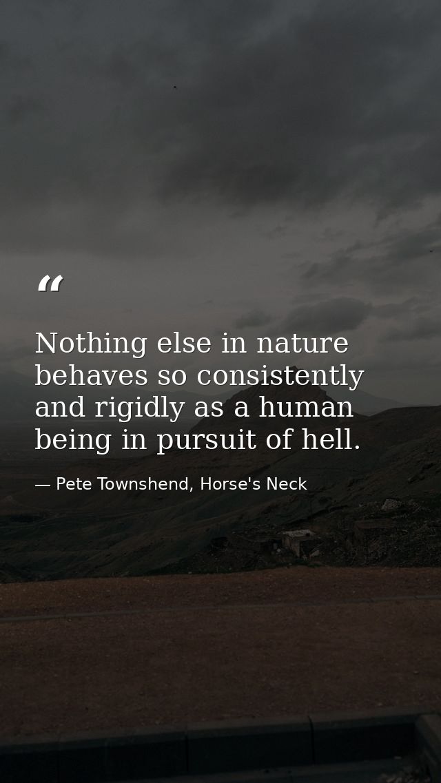 Nothing else in nature behaves so consistently and rigidly as a human being in pursuit of hell. — Pete Townshend, Horse's Neck