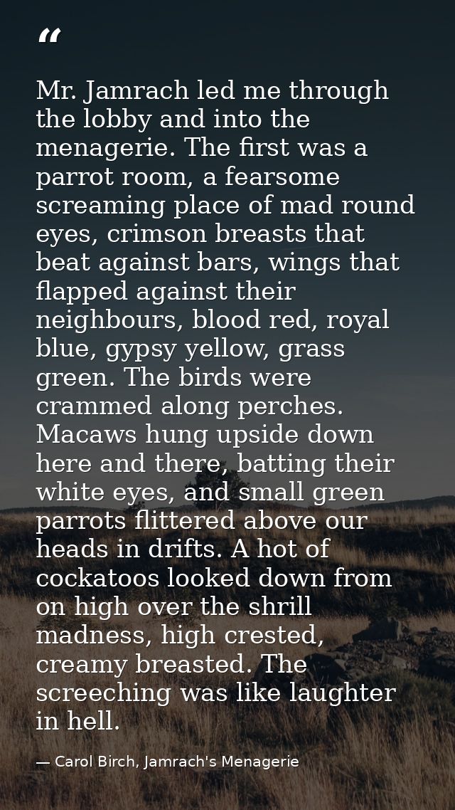 Mr. Jamrach led me through the lobby and into the menagerie. The first was a parrot room, a fearsome screaming place of  — Carol Birch, Jamrach's Menagerie