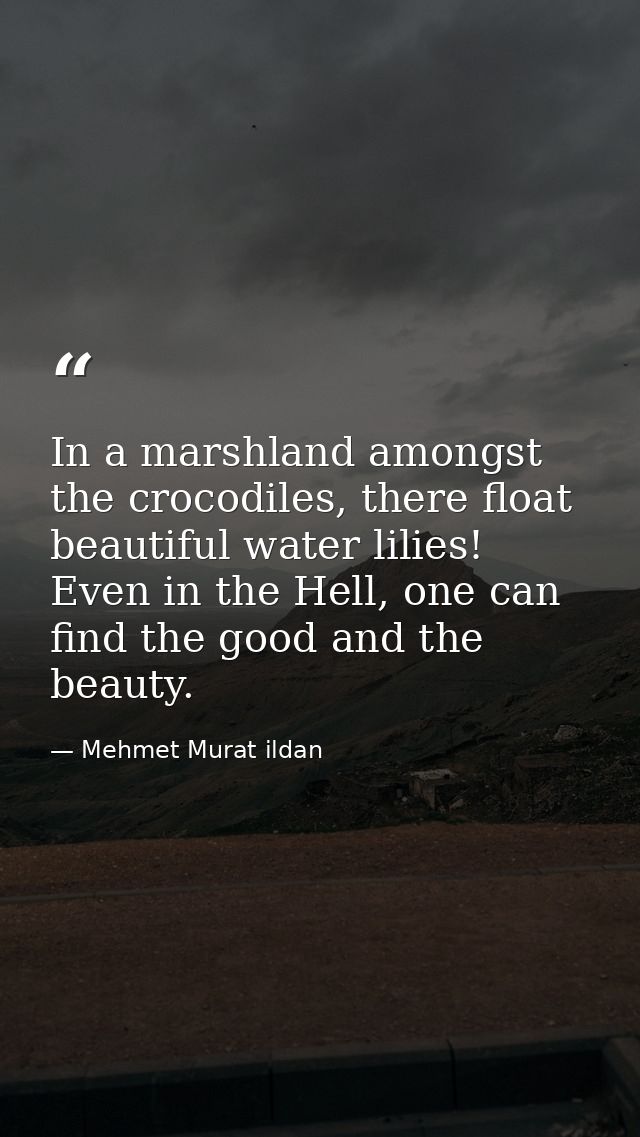In a marshland amongst the crocodiles, there float beautiful water lilies! Even in the Hell, one can find the good and t — Mehmet Murat ildan