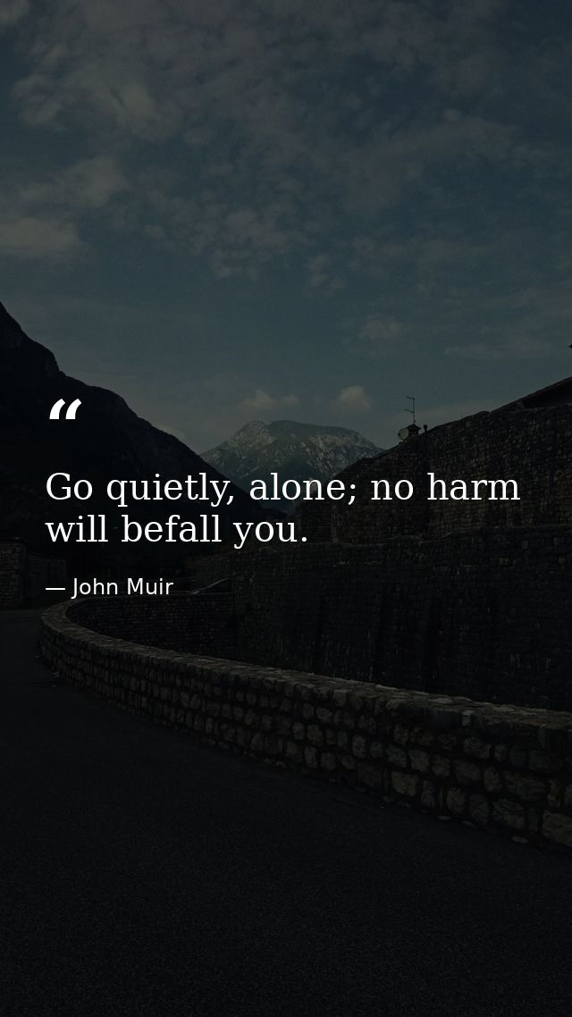 Go quietly, alone; no harm will befall you. — John Muir