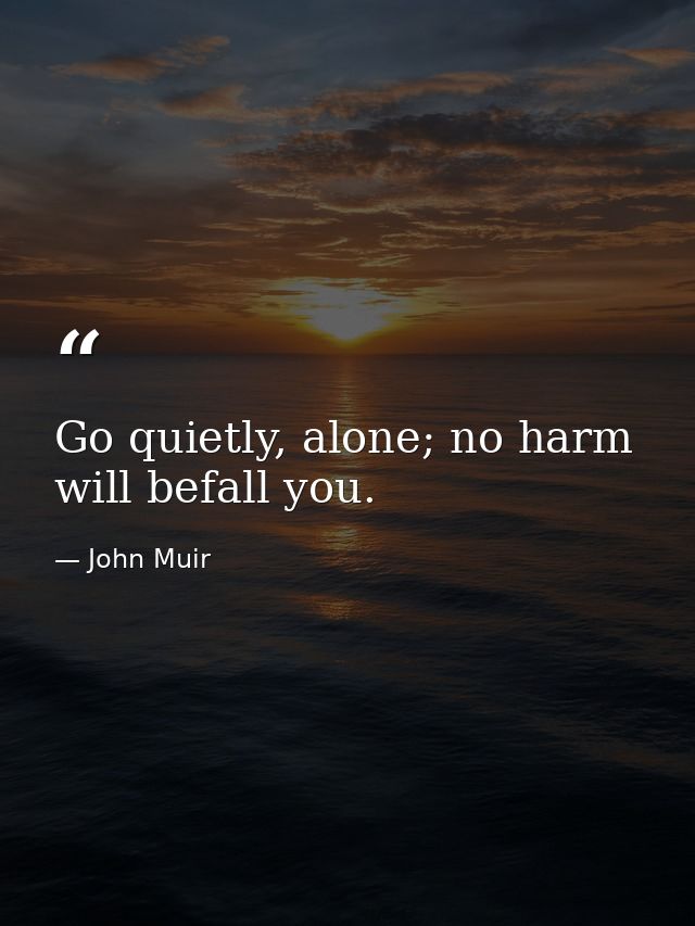 Go quietly, alone; no harm will befall you. — John Muir