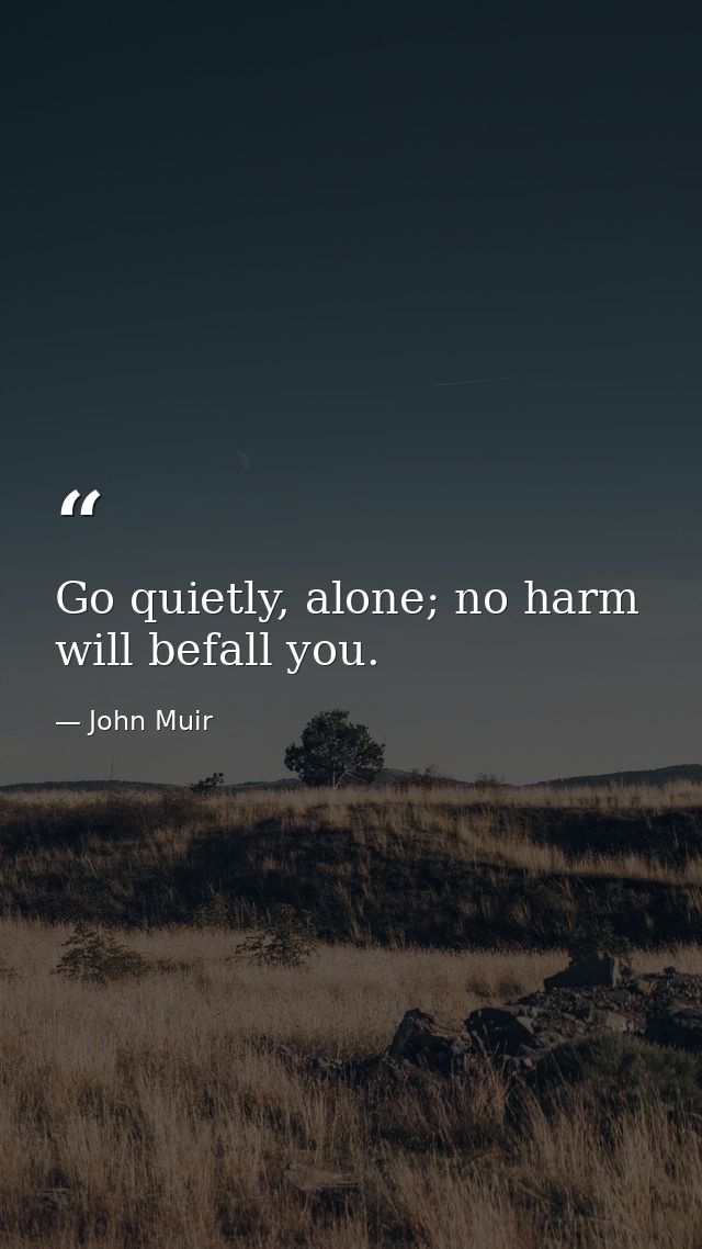 Go quietly, alone; no harm will befall you. — John Muir