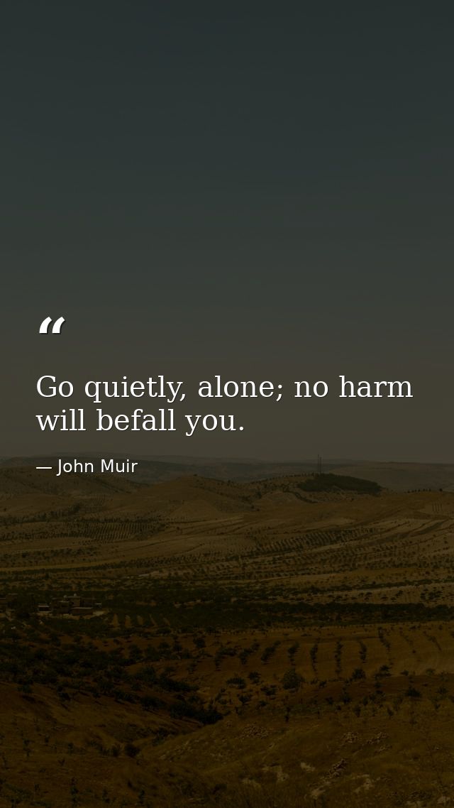 Go quietly, alone; no harm will befall you. — John Muir