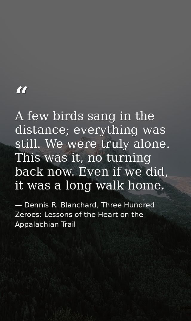 A few birds sang in the distance; everything was still. We were truly alone. This was it, no turning back now. Even if w — Dennis R. Blanchard, Three Hundred Zeroes: Lessons of the Heart on the Appalachian Trail