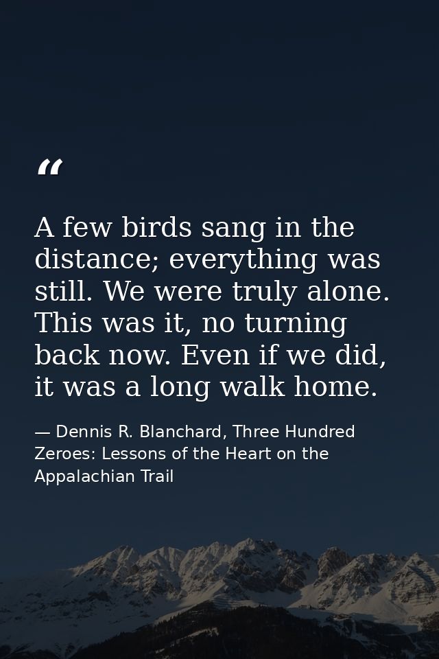 A few birds sang in the distance; everything was still. We were truly alone. This was it, no turning back now. Even if w — Dennis R. Blanchard, Three Hundred Zeroes: Lessons of the Heart on the Appalachian Trail