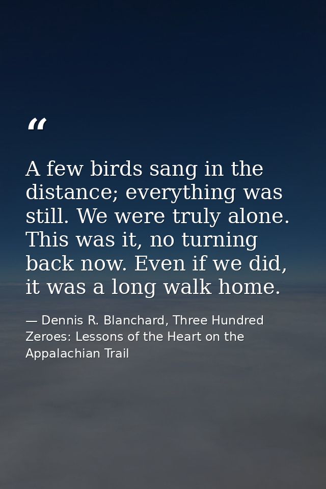 A few birds sang in the distance; everything was still. We were truly alone. This was it, no turning back now. Even if w — Dennis R. Blanchard, Three Hundred Zeroes: Lessons of the Heart on the Appalachian Trail