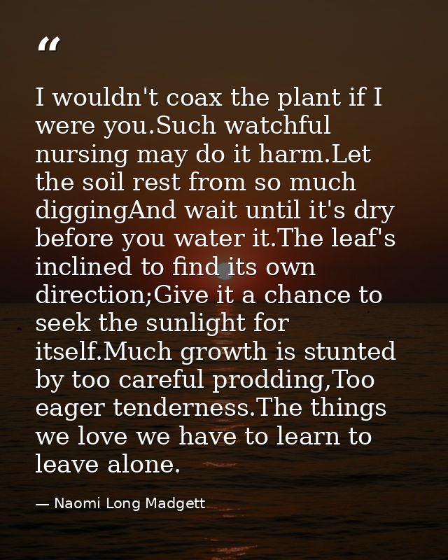 I wouldn't coax the plant if I were you.Such watchful nursing may do it harm.Let the soil rest from so much diggingAnd w — Naomi Long Madgett