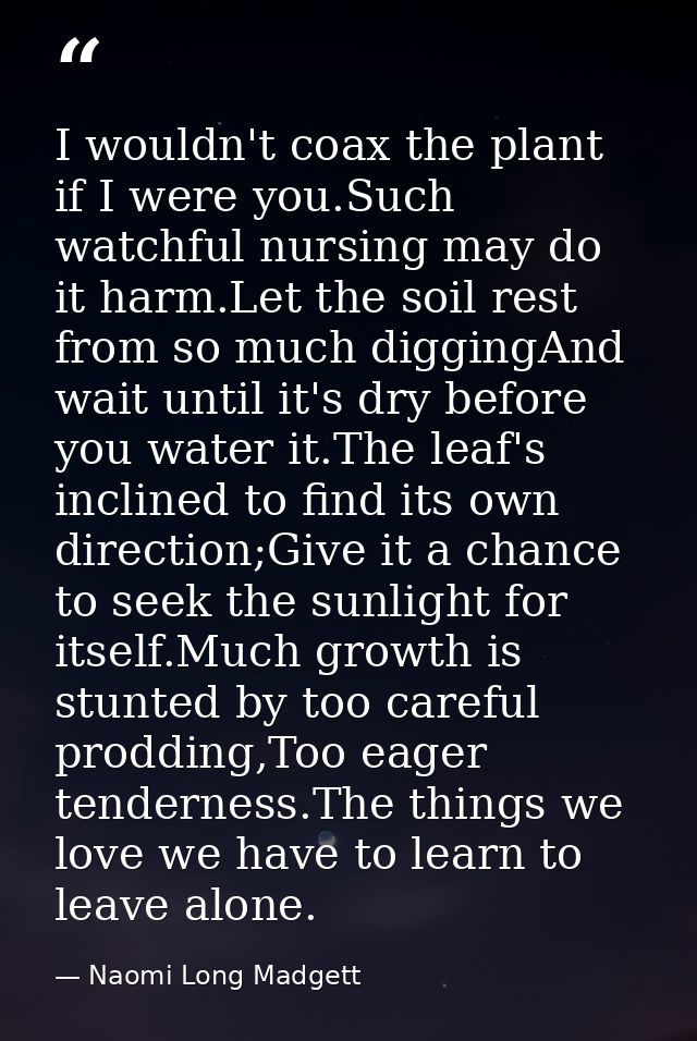 I wouldn't coax the plant if I were you.Such watchful nursing may do it harm.Let the soil rest from so much diggingAnd w — Naomi Long Madgett
