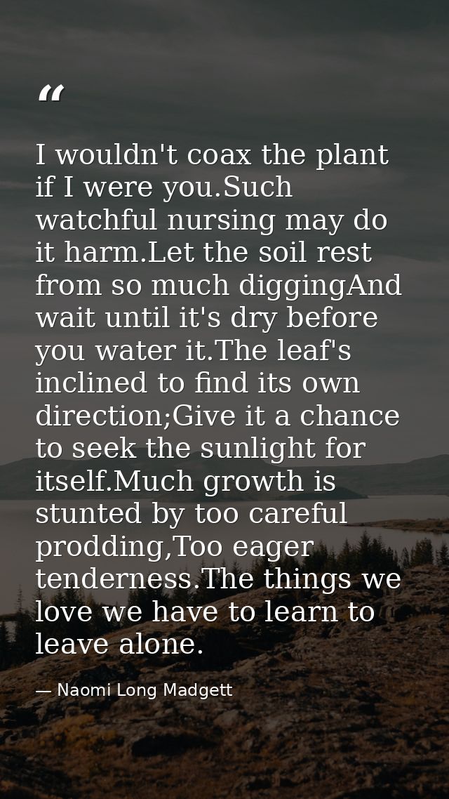 I wouldn't coax the plant if I were you.Such watchful nursing may do it harm.Let the soil rest from so much diggingAnd w — Naomi Long Madgett