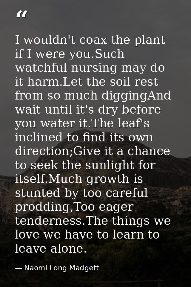 I wouldn't coax the plant if I were you.Such watchful nursing may do it harm.Let the soil rest from so much diggingAnd w — Naomi Long Madgett