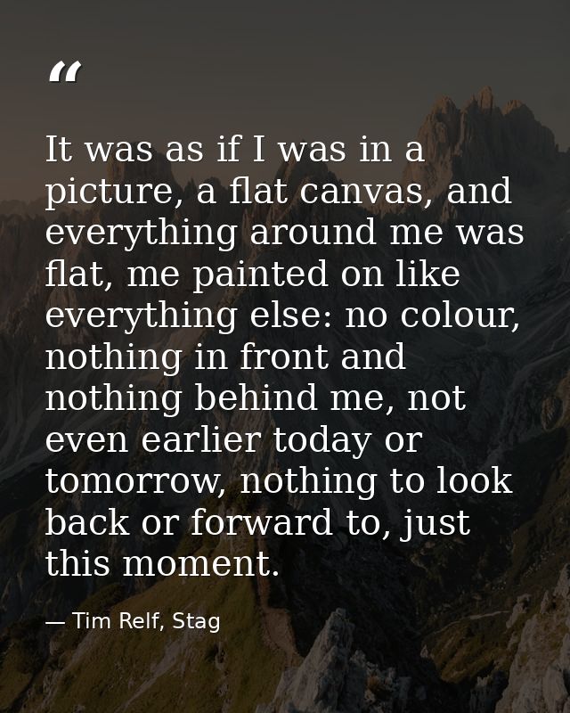 It was as if I was in a picture, a flat canvas, and everything around me was flat, me painted on like everything else: n — Tim Relf, Stag