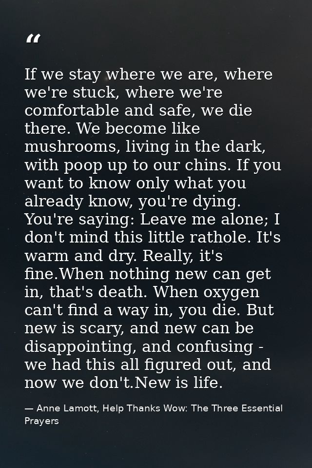 If we stay where we are, where we're stuck, where we're comfortable and safe, we die there. We become like mushrooms, li — Anne Lamott, Help Thanks Wow: The Three Essential Prayers