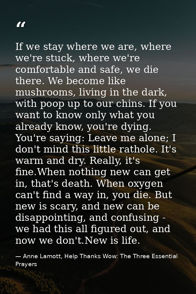 If we stay where we are, where we're stuck, where we're comfortable and safe, we die there. We become like mushrooms, li — Anne Lamott, Help Thanks Wow: The Three Essential Prayers