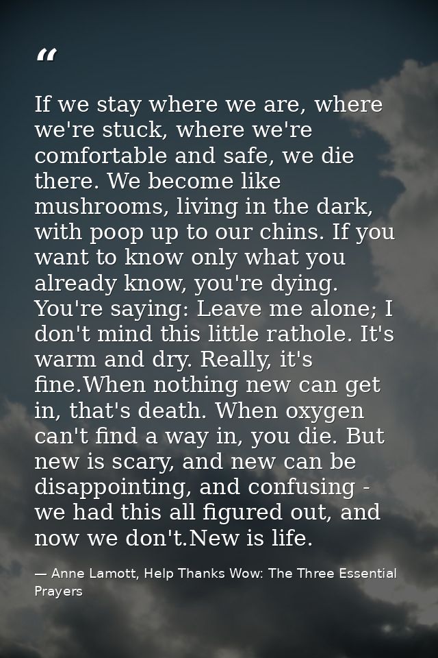 If we stay where we are, where we're stuck, where we're comfortable and safe, we die there. We become like mushrooms, li — Anne Lamott, Help Thanks Wow: The Three Essential Prayers