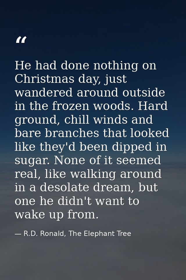 He had done nothing on Christmas day, just wandered around outside in the frozen woods. Hard ground, chill winds and bar — R.D. Ronald, The Elephant Tree