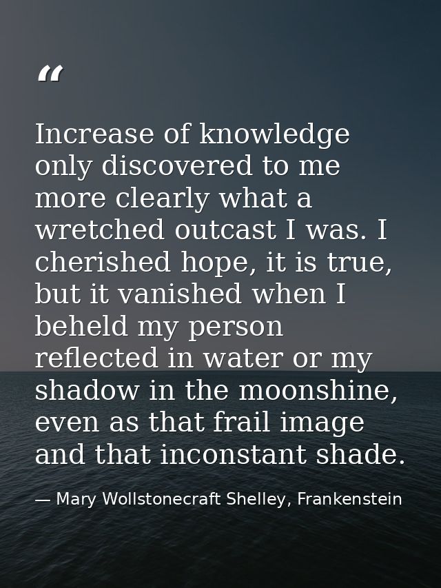 Increase of knowledge only discovered to me more clearly what a wretched outcast I was. I cherished hope, it is true, bu — Mary Wollstonecraft Shelley, Frankenstein