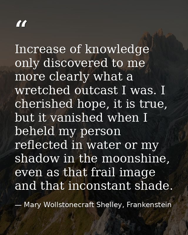 Increase of knowledge only discovered to me more clearly what a wretched outcast I was. I cherished hope, it is true, bu — Mary Wollstonecraft Shelley, Frankenstein