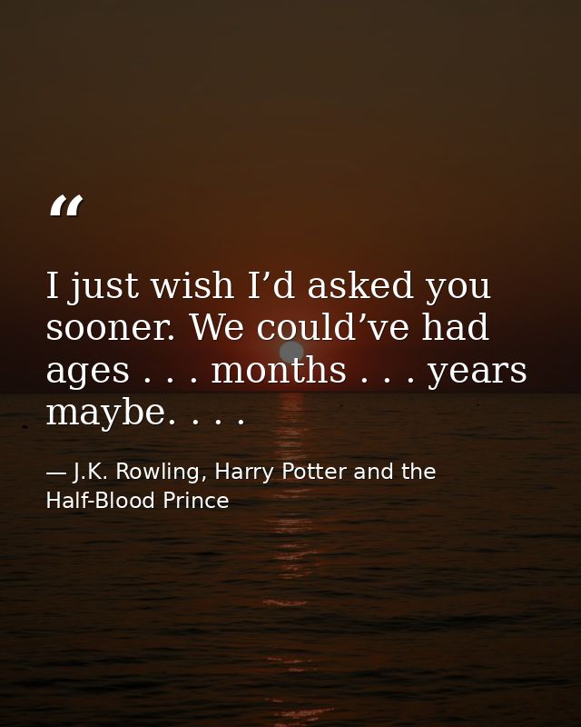 I just wish I’d asked you sooner. We could’ve had ages . . . months . . . years maybe. . . . — J.K. Rowling, Harry Potter and the Half-Blood Prince