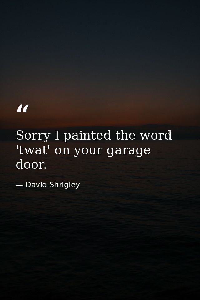 Sorry I painted the word 'twat' on your garage door. — David Shrigley