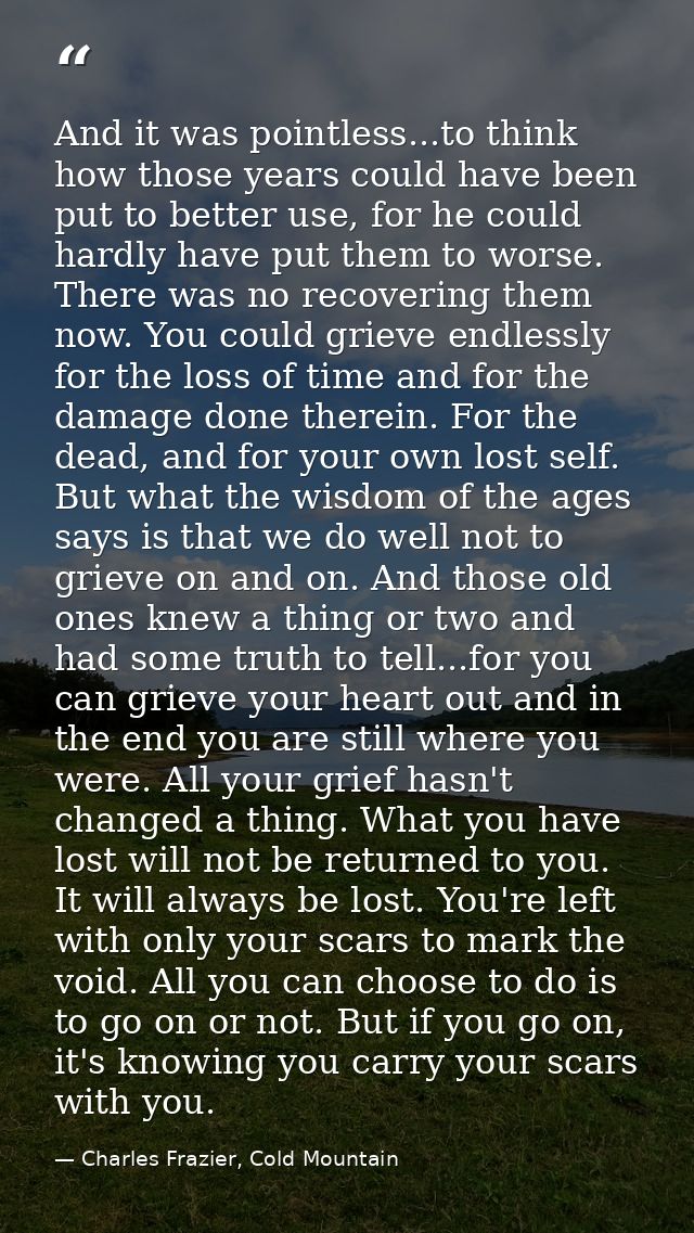 And it was pointless...to think how those years could have been put to better use, for he could hardly have put them to  — Charles Frazier, Cold Mountain