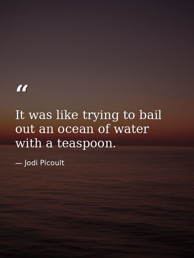 It was like trying to bail out an ocean of water with a teaspoon. — Jodi Picoult