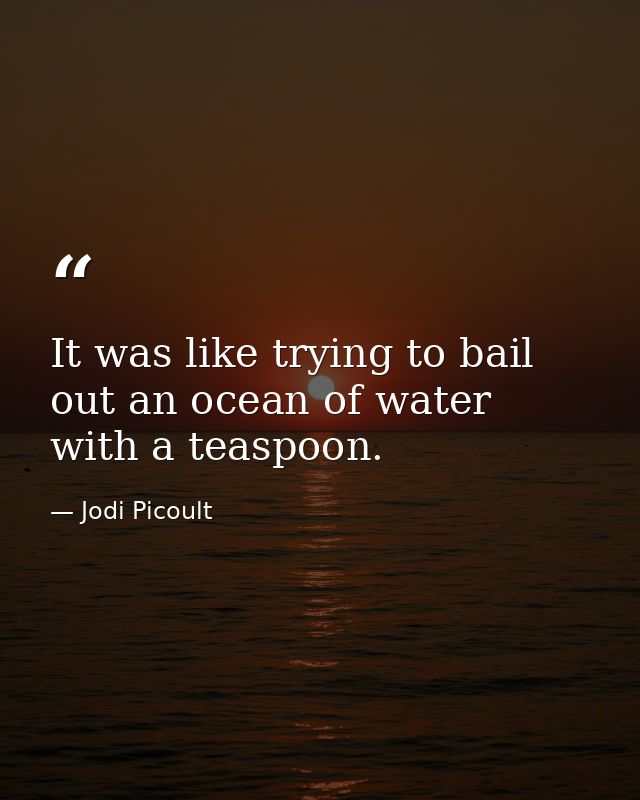 It was like trying to bail out an ocean of water with a teaspoon. — Jodi Picoult