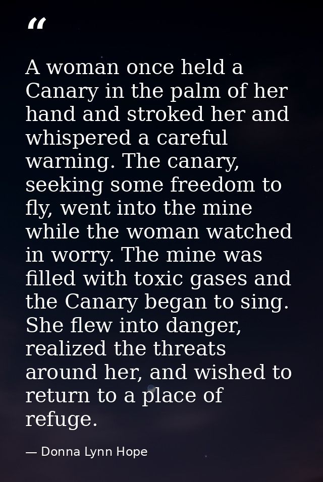 A woman once held a Canary in the palm of her hand and stroked her and whispered a careful warning. The canary, seeking  — Donna Lynn Hope