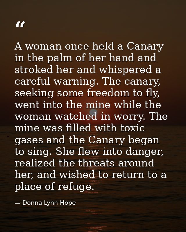 A woman once held a Canary in the palm of her hand and stroked her and whispered a careful warning. The canary, seeking  — Donna Lynn Hope