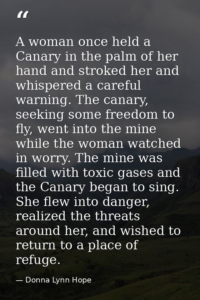 A woman once held a Canary in the palm of her hand and stroked her and whispered a careful warning. The canary, seeking  — Donna Lynn Hope